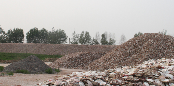 乾港集團 乾港集團
