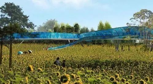 園博會(huì )展示 園博會(huì )展示