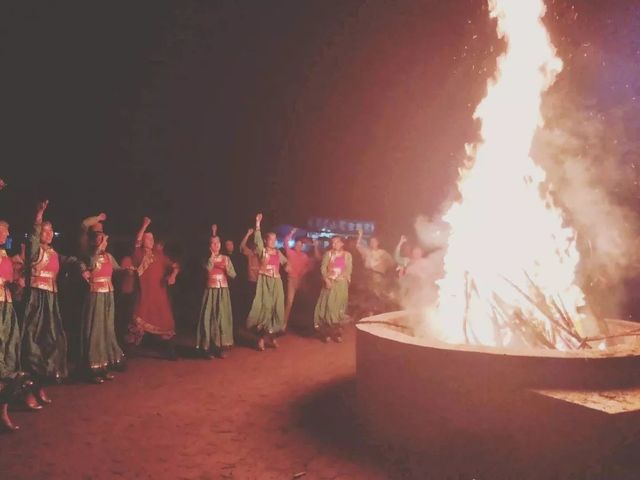 乾港集團高層草原自駕游 乾港集團高層草原自駕游
