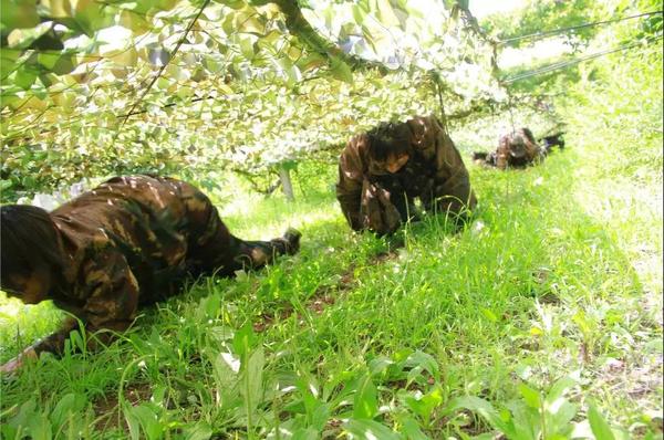 乾港集團,乾港官網(wǎng),乾港網(wǎng)絡(luò ),室內空氣凈化公司 乾港集團,乾港官網(wǎng),乾港網(wǎng)絡(luò ),室內空氣凈化公司